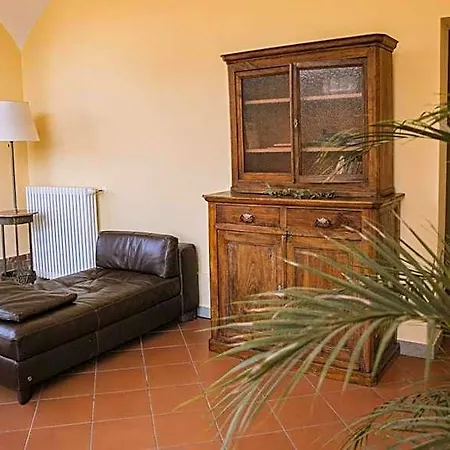 L'elefante Fritz Boutique - Piazzo *