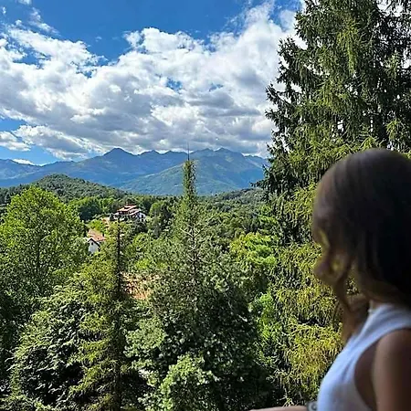 L'elefante Fritz Boutique - Piazzo Albergue *